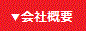 ЊTv